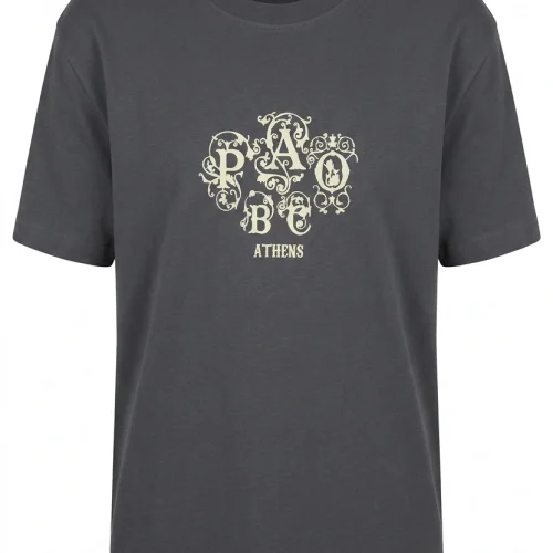 ΓΚΡΙ T-SHIRT ΜΕ ΣΤΑΜΠΑ